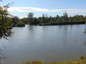 Etang AI22 Pêche autorisée avec permis de pêche de 2ème catégorie (Timbre piscicole) et carte à la journée de 2 euros ou l'année de 23 euros.