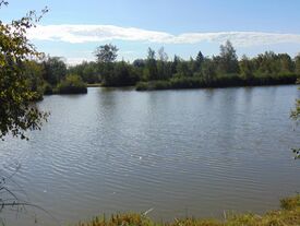 Etang AI22 Pêche autorisée avec permis de pêche de 2ème catégorie (Timbre piscicole) et carte à la journée de 2 euros ou l'année de 23 euros.