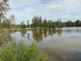 Etang AI20 Pêche autorisée avec permis de pêche de 2ème catégorie (timbre piscicole) et  carte à la journée de 2 euros ou l'année de 23 euros.