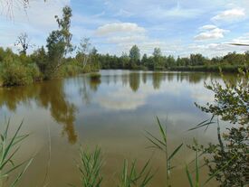 Etang AI21 Pêche autorisée avec permis de pêche de 2ème catégorie (timbre piscicole) et carte à la journée de 2 euros ou l'année de 23 euros.