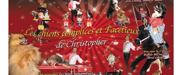 Affiche Arbre de Noël 2019 Les chiens complices et facétieux