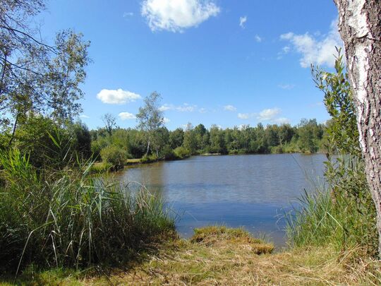 Etang AI24 Pêche autorisée à la journée au tarif de 2 euros et l'année au tarif de 23 euros, non soumis au timbre piscicole.