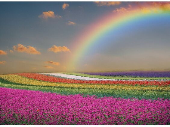Paysage-Arc-en-Ciel