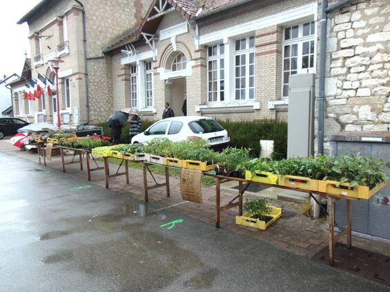 Etal de fleurs et légumes Etal de fleurs et légumes
