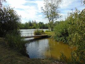 Passerelle entre l'étang N°1 et N°2