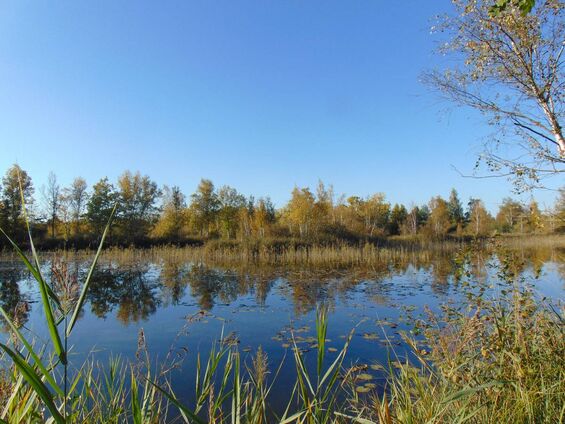 ETANG CHIVRES EN LAONNOIS NUMERO 47