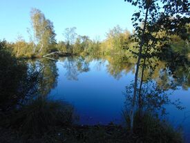 Etang AI19 Pêche autorisée à la journée (tarif 2 euros) et à l'année (tarif 23 euros) Non soumis au timbre piscicole.